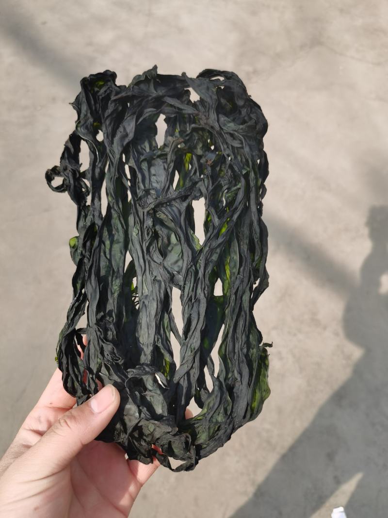烘干水洗脱盐无沙裙带菜散装2斤装