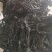 烘干水洗脱盐无沙裙带菜散装2斤装