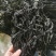 烘干水洗脱盐无沙裙带菜散装2斤装