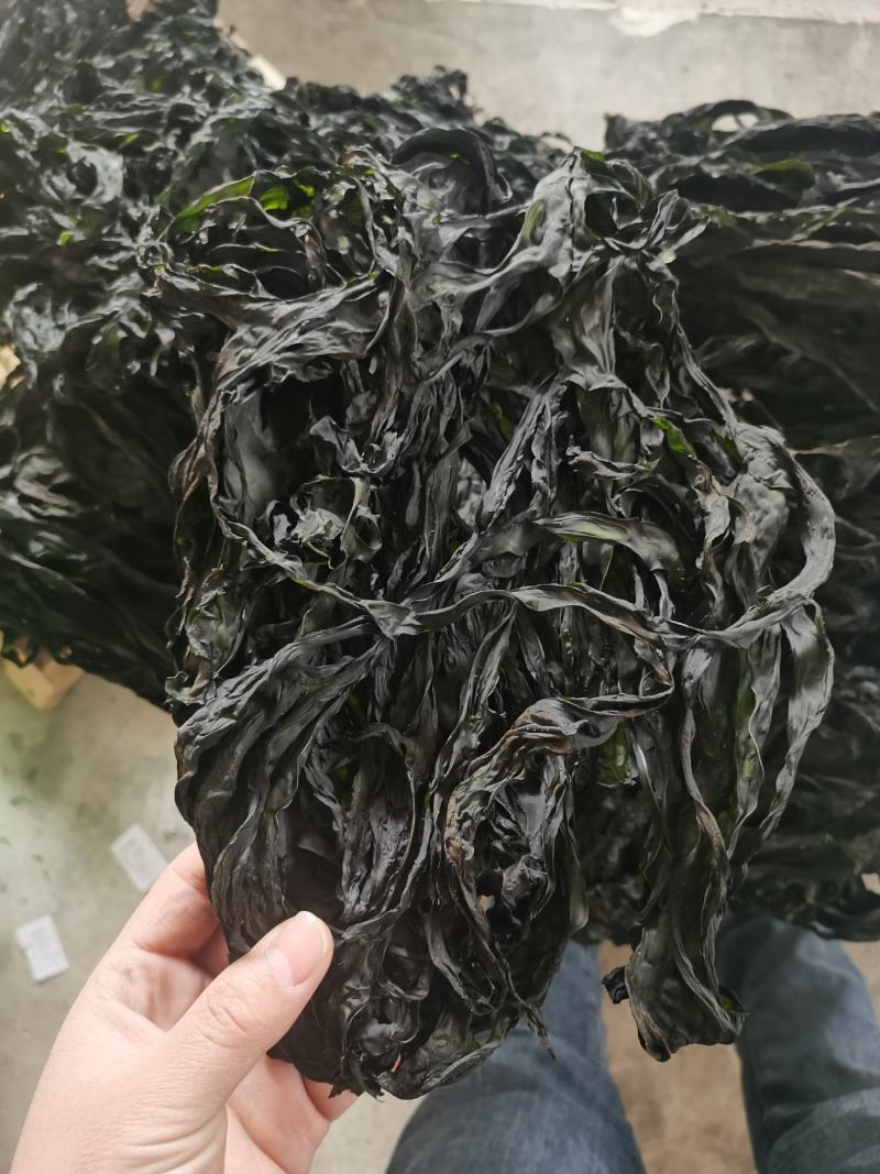 烘干水洗脱盐无沙裙带菜散装2斤装