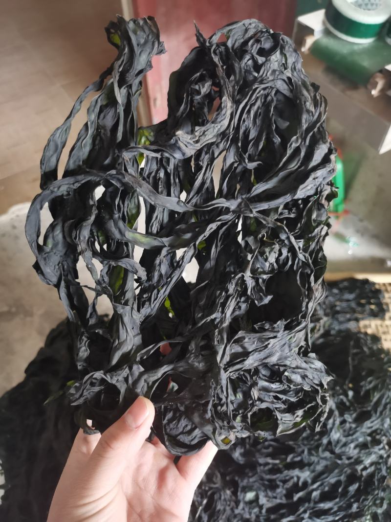 烘干水洗脱盐无沙裙带菜散装2斤装