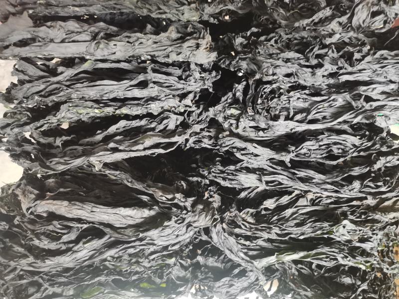 烘干水洗脱盐无沙裙带菜散装2斤装