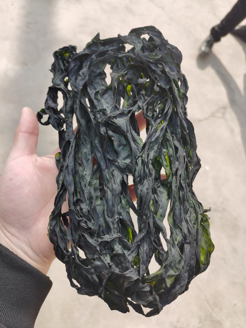 烘干水洗脱盐无沙裙带菜散装2斤装