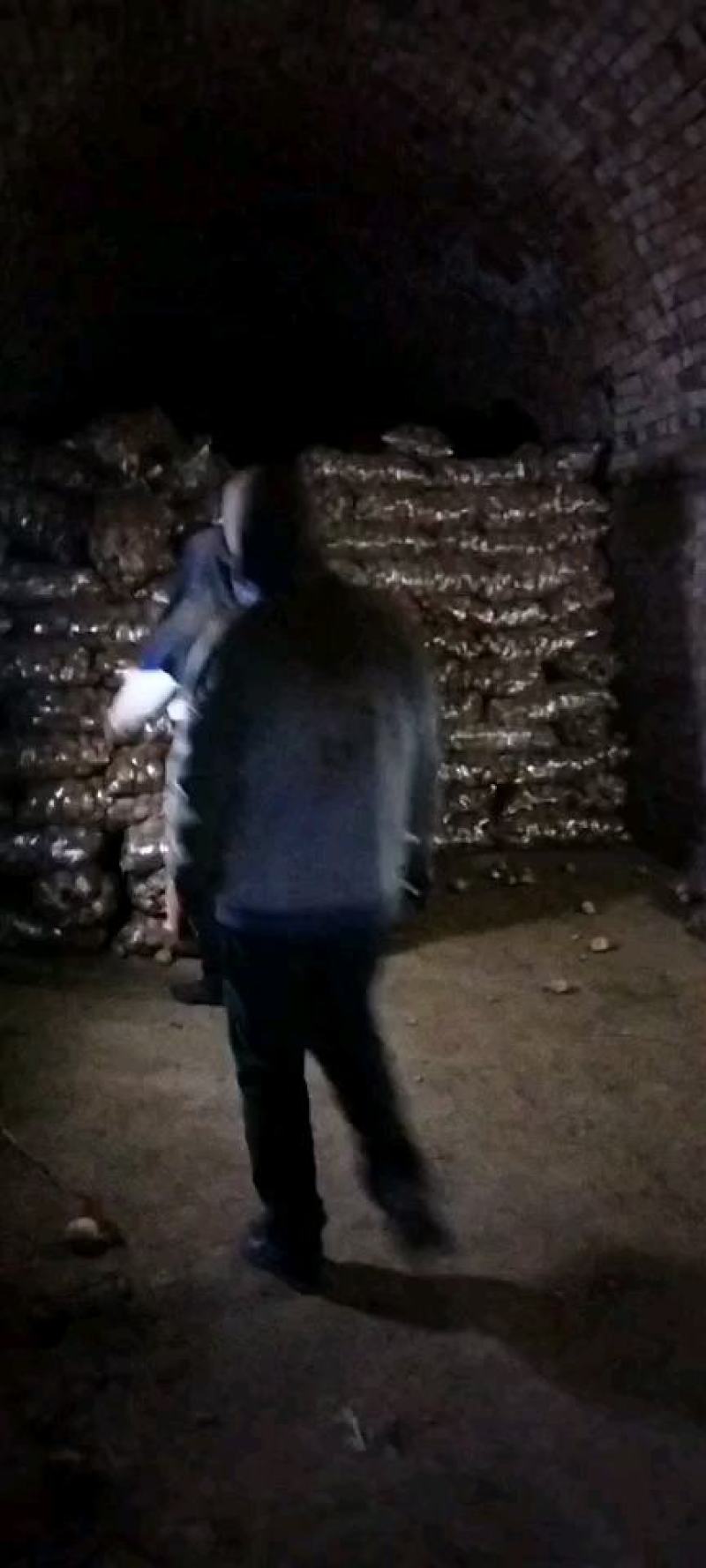 【土豆】内蒙精品V7土豆量大从优欢迎选购咨询