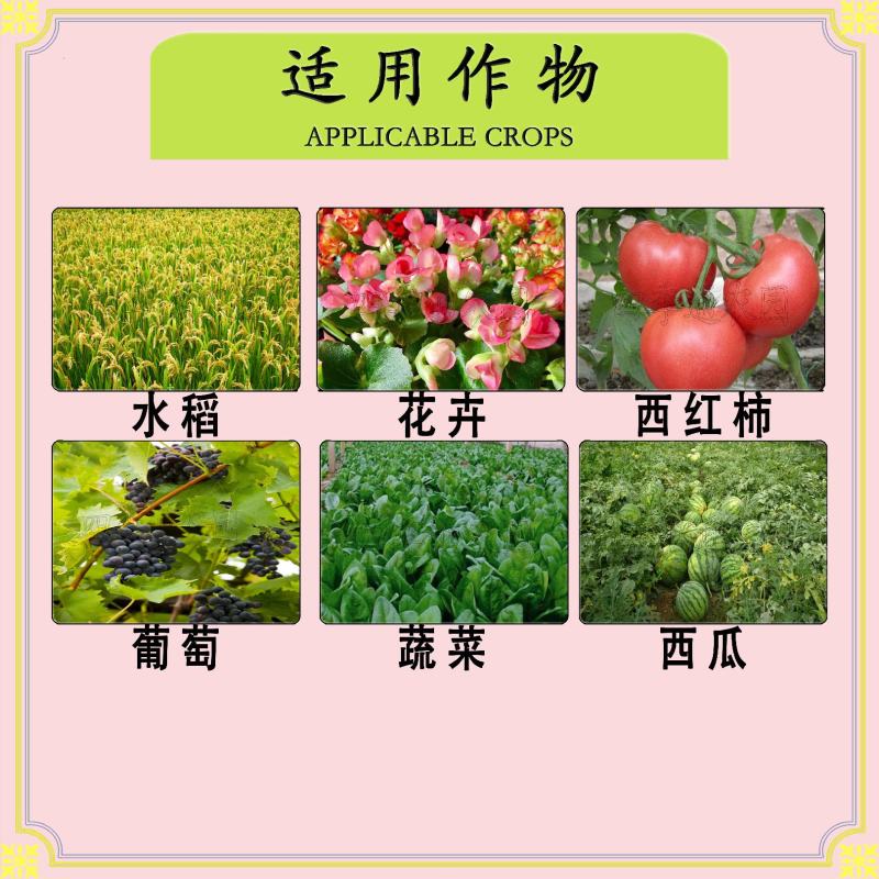 先正达10%苯醚甲环唑锈病黑星病炭疽病叶斑病早疫病杀菌剂