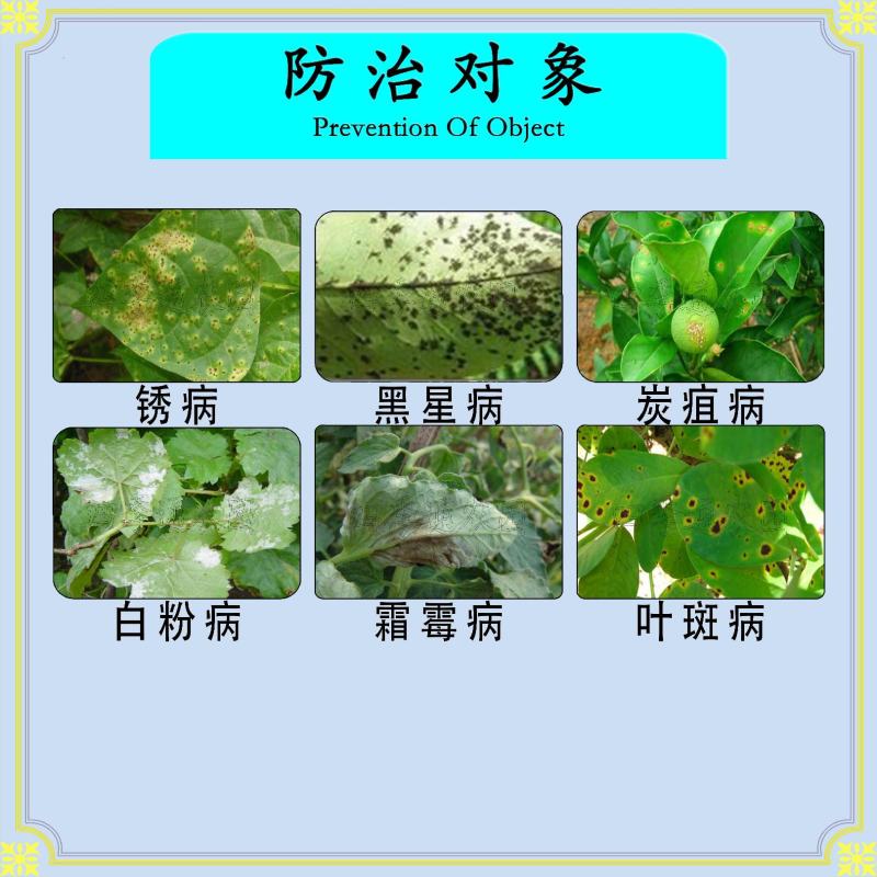 先正达10%苯醚甲环唑锈病黑星病炭疽病叶斑病早疫病杀菌剂