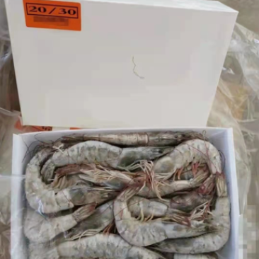 厄瓜多尔桑塔白虾白盒
