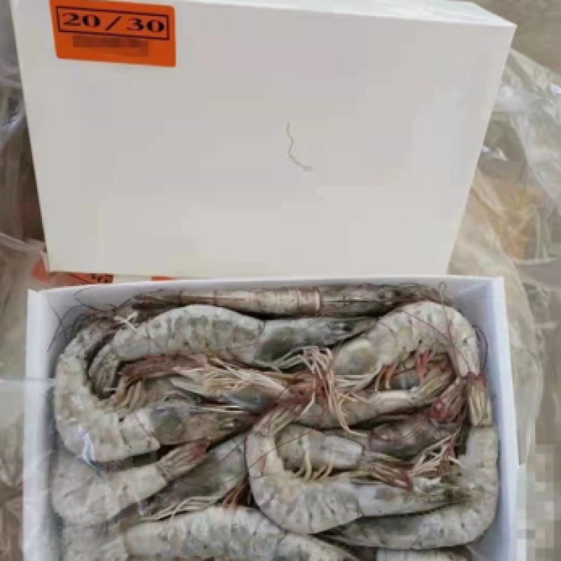 厄瓜多尔桑塔白虾白盒