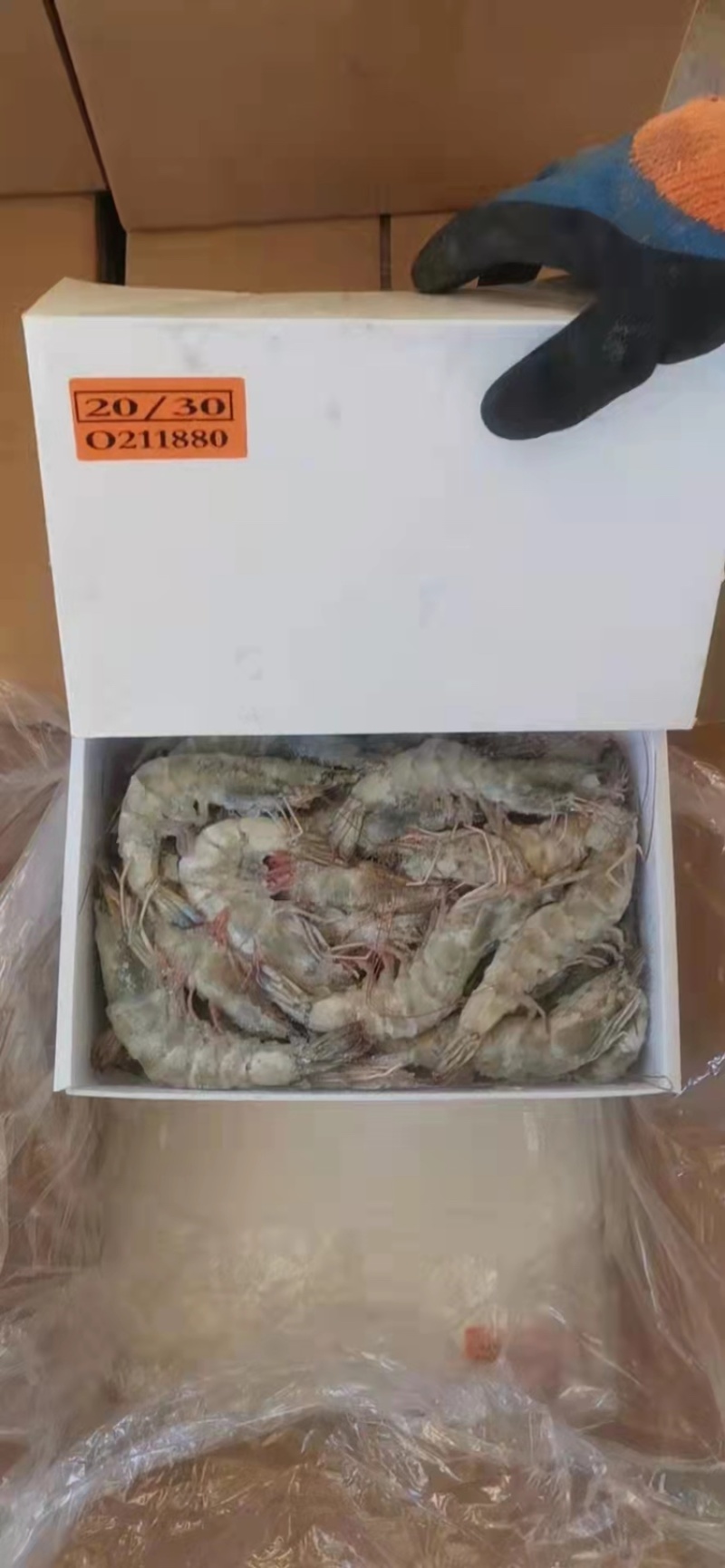 厄瓜多尔桑塔白虾白盒