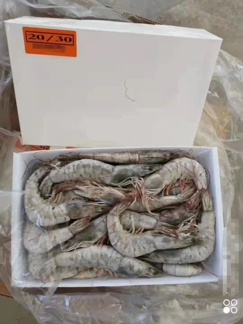 厄瓜多尔桑塔白虾白盒