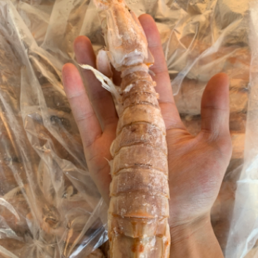 皮皮虾，跟我走！量大从优！❤️‍🔥
