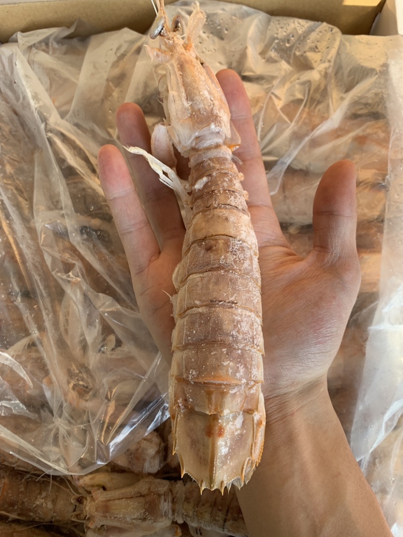皮皮虾，跟我走！量大从优！❤️‍🔥