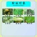 广农25%苯甲吡唑酯黑腐病叶斑病白粉病黑星病褐斑病杀菌剂