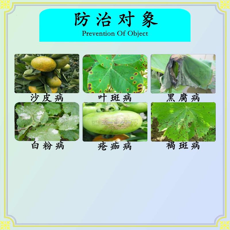 广农25%苯甲吡唑酯黑腐病叶斑病白粉病黑星病褐斑病杀菌剂