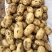 精品荷兰十五土豆四两以上精品产地直供质量保证量大从优