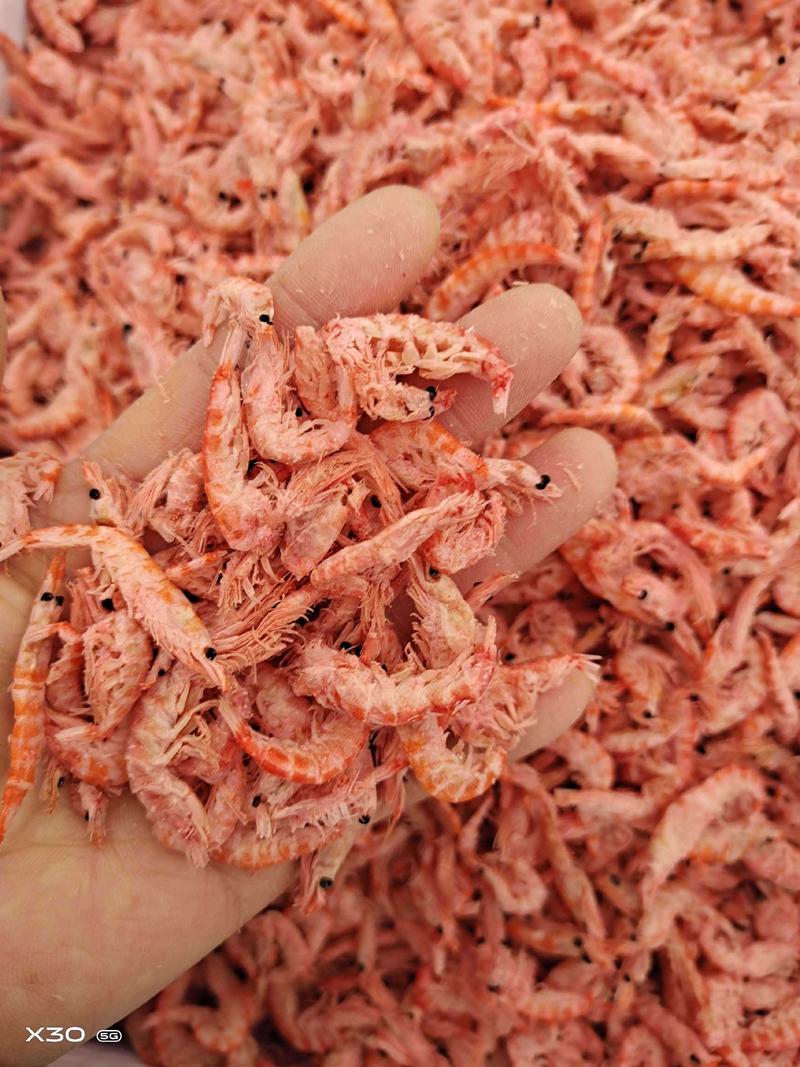 山东大板磷虾皮海米虾仁新货规格齐全保质保量！厂家直供