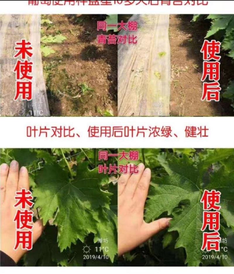 亚磷酸钾，厂销，保花保果营养控旺着色增甜抑菌抗病花芽分化