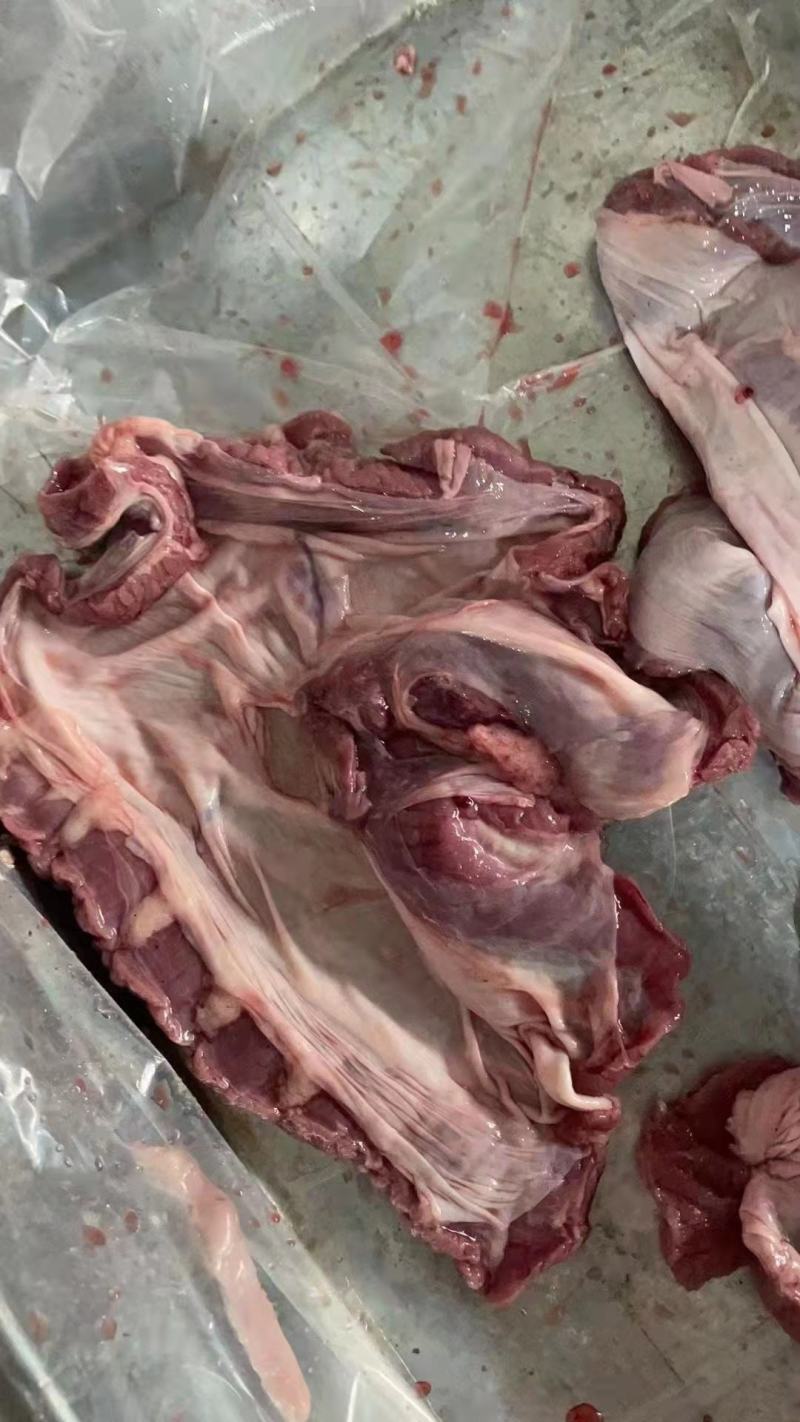 三七碎肉