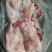 三七碎肉