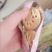 【整箱4OO片】果酱夹心饼干早餐糕点儿童休闲零食小吃独立