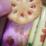 【整箱4OO片】果酱夹心饼干早餐糕点儿童休闲零食小吃独立
