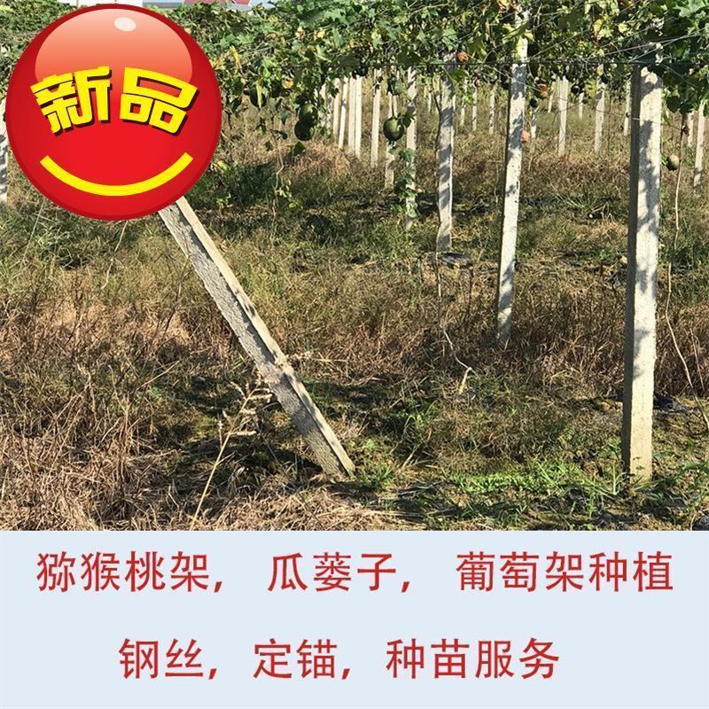 水泥立柱葡萄立柱大棚架立柱百香果立柱养殖场棚柱