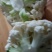 农家自种的花菜，新鲜质量好，现摘现发8一9斤为一件包邮。