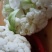 农家自种的花菜，新鲜质量好，现摘现发8一9斤为一件包邮。