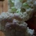 农家自种的花菜，新鲜质量好，现摘现发8一9斤为一件包邮。