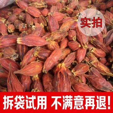 江西栀子果黄栀子茶红桅子山枝子香料上色中药材果栀子