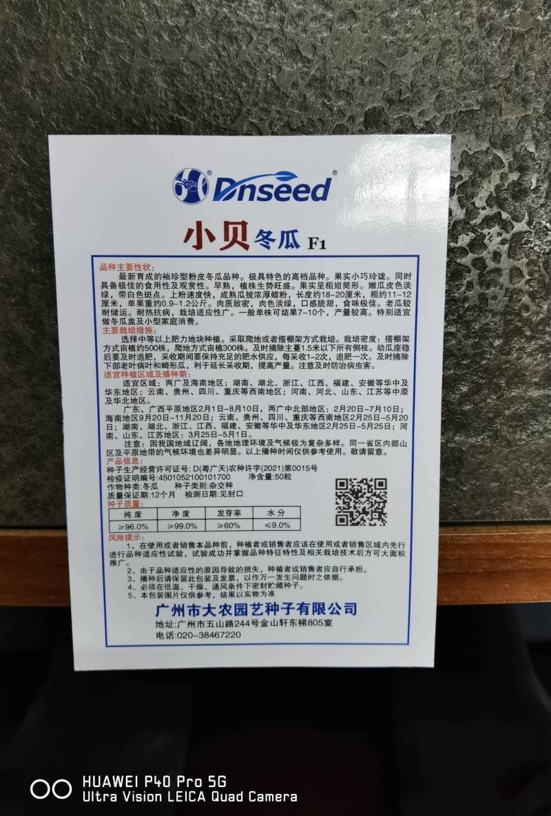 早熟瓜多重约1.2～1.5公斤小贝冬瓜种子口感粉甜