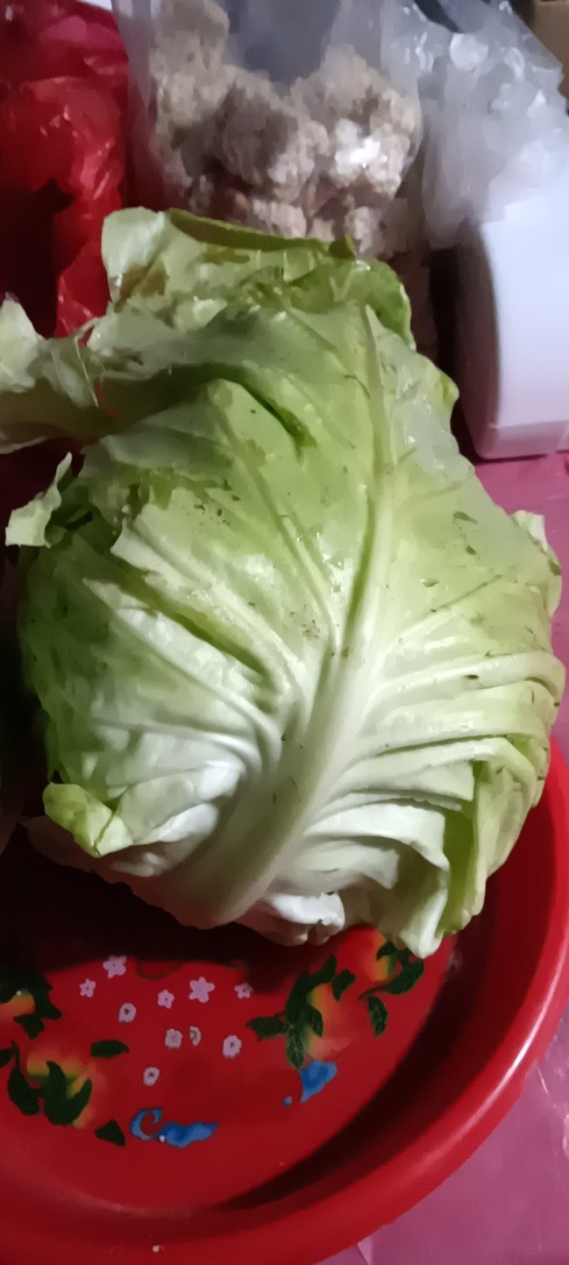 新鲜现摘现发的农家牛心包菜，质量好8一9斤一件包邮。