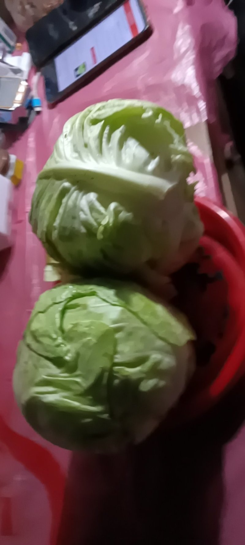 新鲜现摘现发的农家牛心包菜，质量好8一9斤一件包邮。