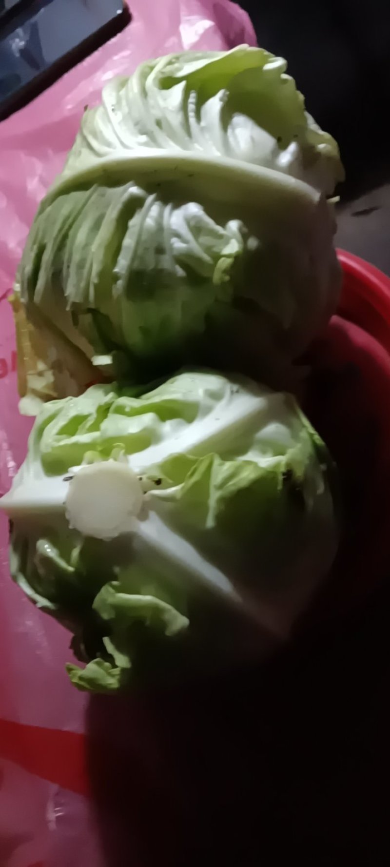 新鲜现摘现发的农家牛心包菜，质量好8一9斤一件包邮。