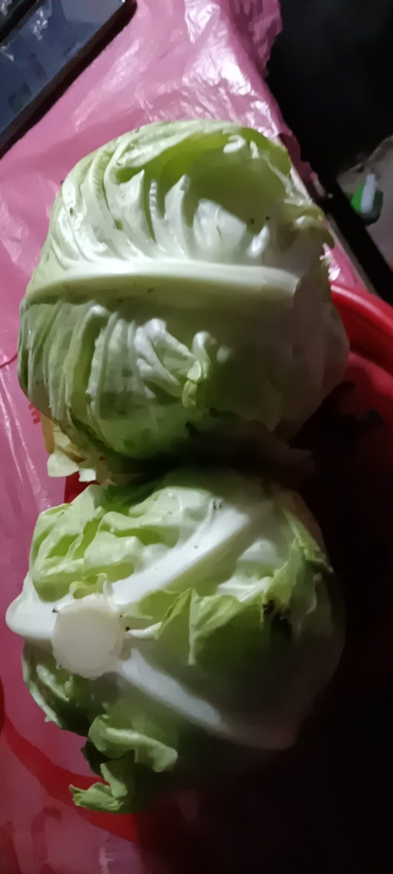 新鲜现摘现发的农家牛心包菜，质量好8一9斤一件包邮。