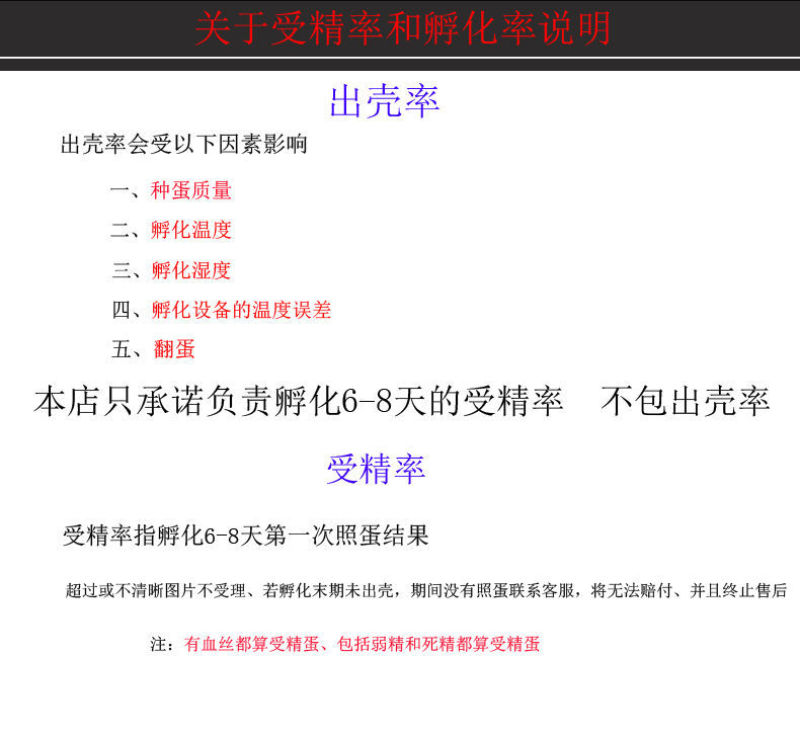 五黑鸡种蛋各种种蛋出售家禽种蛋全部都有教孵化