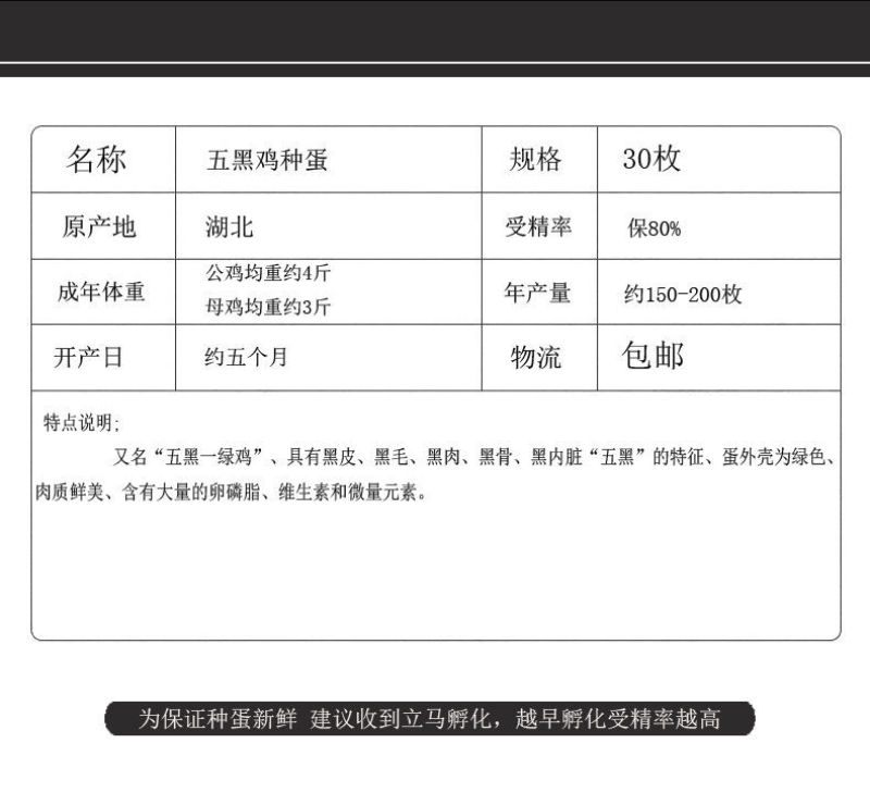 五黑鸡种蛋各种种蛋出售家禽种蛋全部都有教孵化