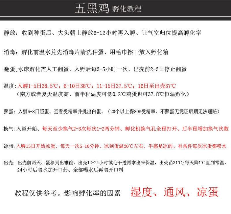 鸡种蛋批发红瑶红玉红毛大公鸡各种鸡种蛋