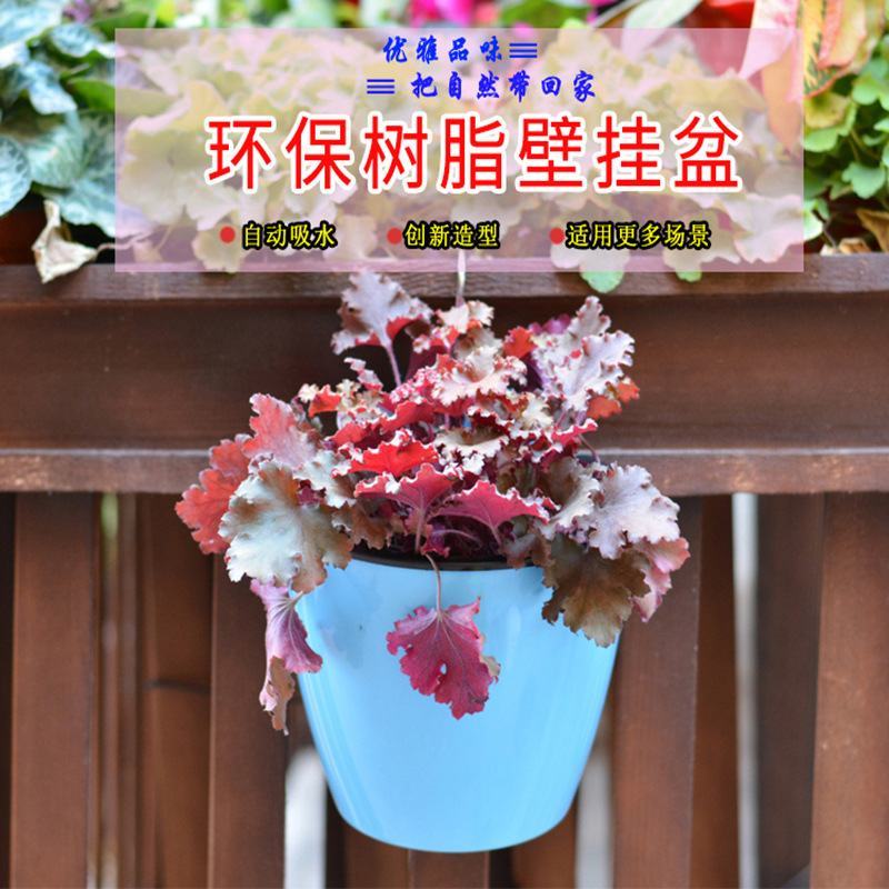创意壁挂免浇水花盆植物墙懒人自动吸水壁挂塑厂家批发零售