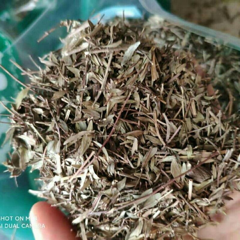 百里香，一手货源，产地直供道地药材，药典标准，保证正品