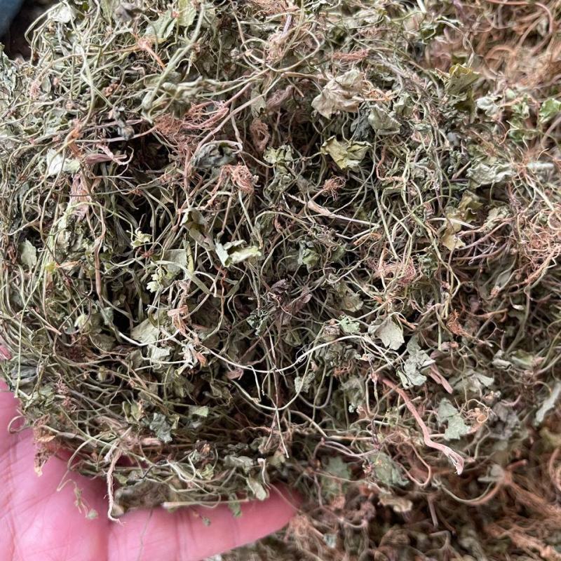 天胡荽，一手货源，产地直供道地药材，过药监无硫药材品种保