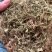 天胡荽，一手货源，产地直供道地药材，过药监无硫药材品种保