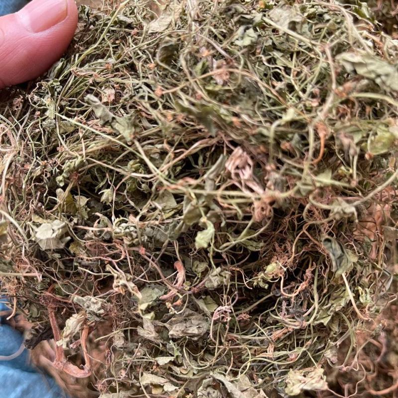 天胡荽，一手货源，产地直供道地药材，过药监无硫药材品种保