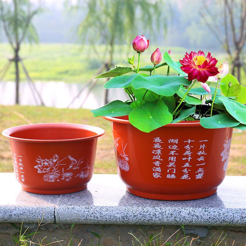 无孔荷花盆加厚加大花盆仿陶瓷碗莲睡莲花盆荷花水培绿植塑料