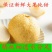 【推荐】砀山酥梨皇冠梨个头大皮薄汁全国发货产地直供