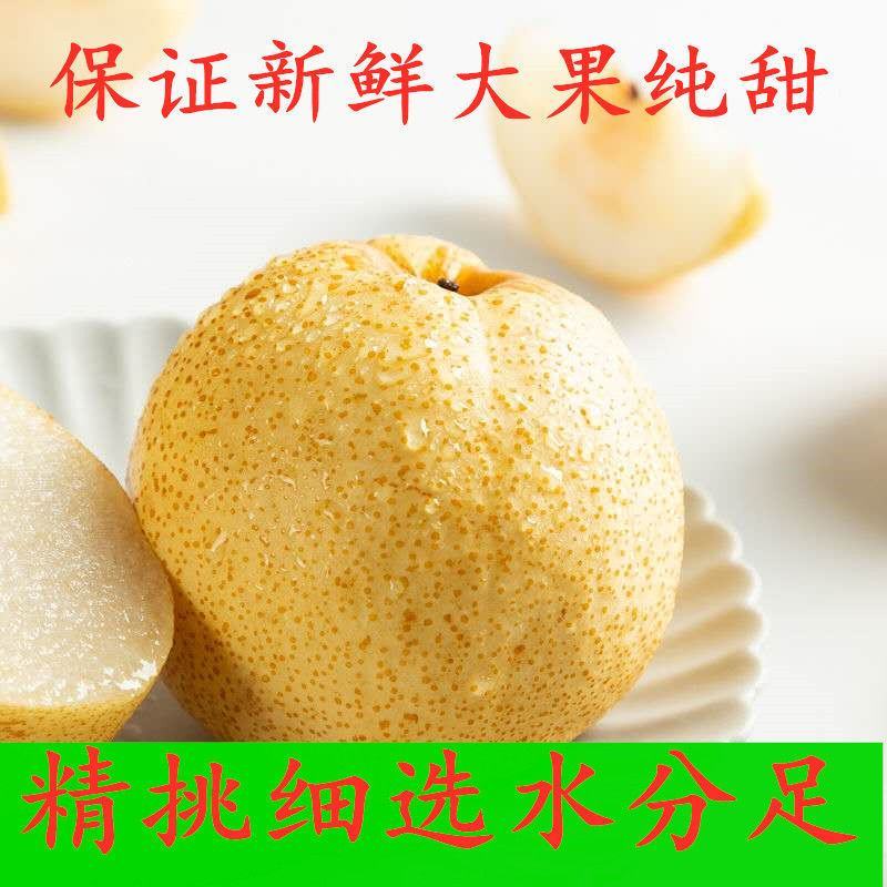 【推荐】砀山酥梨皇冠梨个头大皮薄汁全国发货产地直供