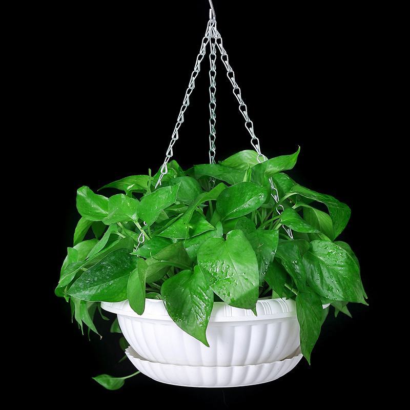 吊兰花盆绿萝花盆树脂塑料加厚吊兰盆阳台绿植盆挂壁厂家批发
