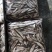 冰冻白条鱼，餐条，蓝刀鱼，银鱼，玻璃鱼，面条鱼，人工宰杀