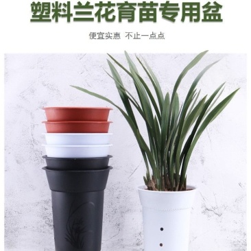兰花盆塑料专用仿紫砂带孔透气兰仔高特价清仓兰草厂家批发