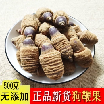 狗鞭果，野生采集，产地直供道地药材，药典标准品质保证